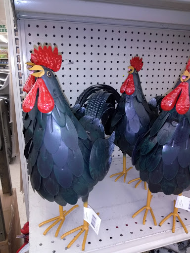 Farm Equipment Supplier «Family Farm & Home», reviews and photos, 66875 Gratiot Ave, Richmond, MI 48062, USA