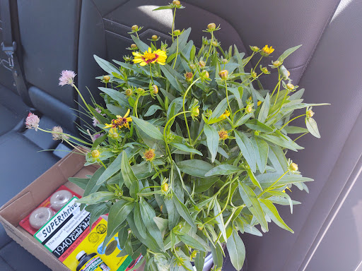 Garden Center «Riverview Tree & Landscaping, Inc.», reviews and photos, 3049 Pricetown Rd, Temple, PA 19560, USA