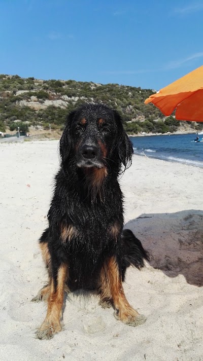 Photos of Camping Katerina