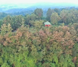 Bukit Nganjir photo