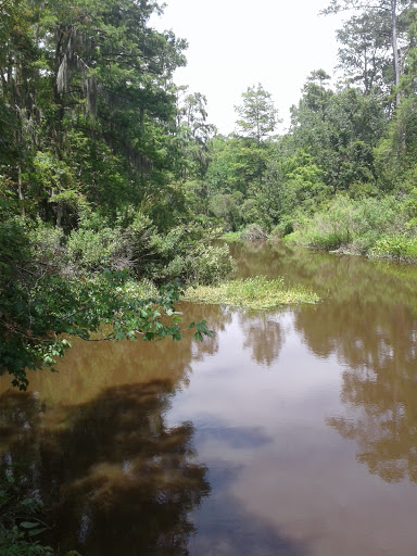 Live Music Venue «Dew Drop Jazz & Social Hall», reviews and photos, 430 Lamarque St, Mandeville, LA 70448, USA