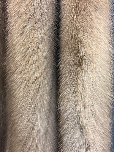 Dry Cleaner «Wooven Dry Cleaning and Wash & Fold», reviews and photos, 2300 W Copans Rd #3, Pompano Beach, FL 33069, USA