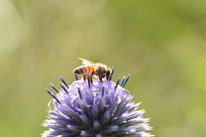 Ontario Beekeepers' Association