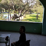 Photo n°1 de l'avis de Gu.a fait le 05/08/2018 à 20:00 sur le  Hotel Ristorante Fontermosa à Fonteblanda