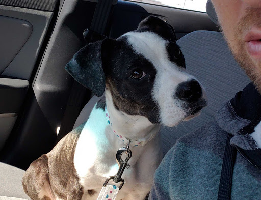 Pet Supply Store «PetSmart», reviews and photos, 21430 Wolf Rd, Mokena, IL 60448, USA