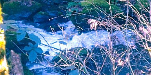 Golf Club «Stone Creek Golf Club», reviews and photos, 14603 S Stoneridge Dr, Oregon City, OR 97045, USA