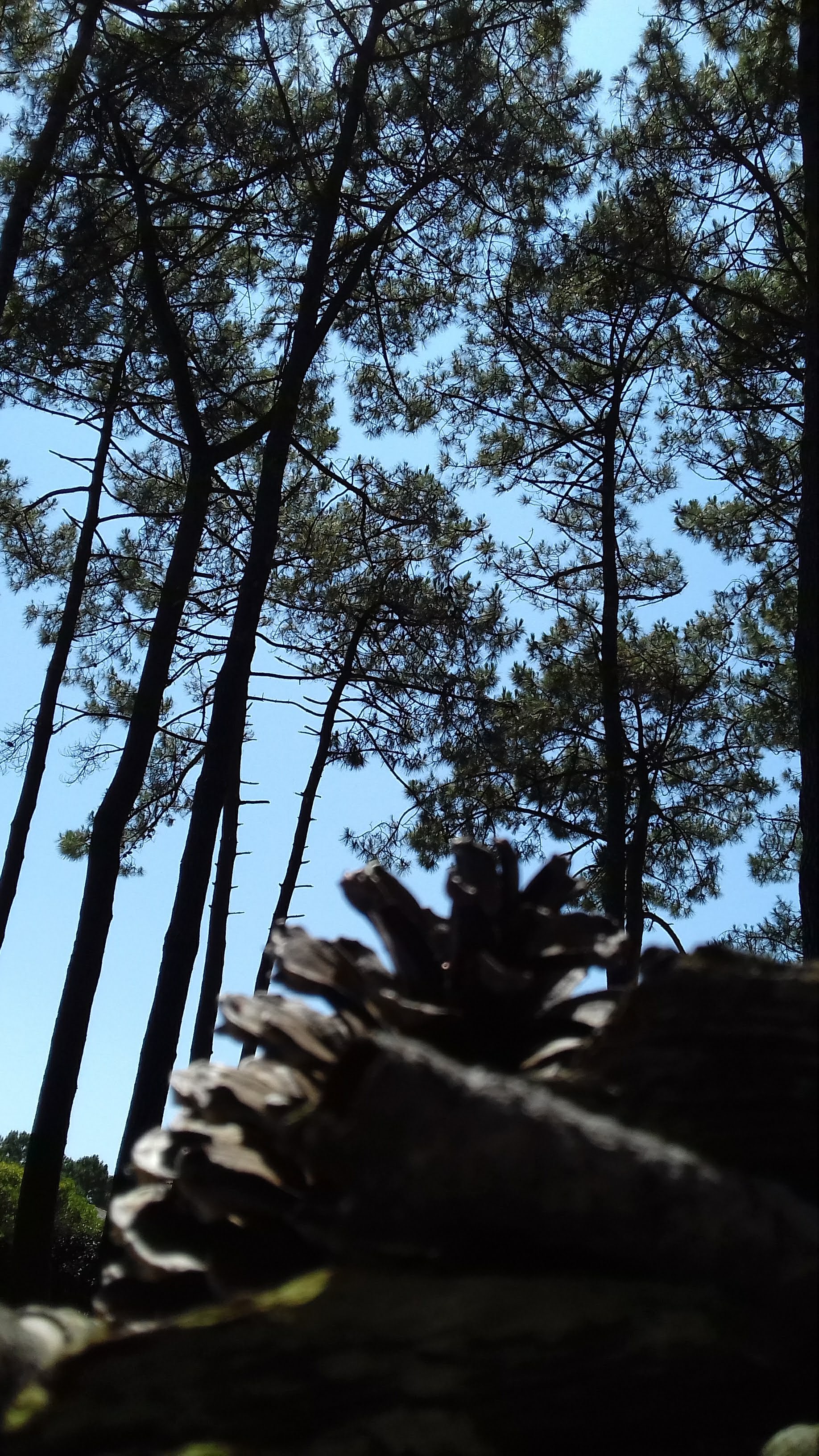 Photo n° 4 de l'avis de cannibalex1. fait le 19/07/2019 à 05:31