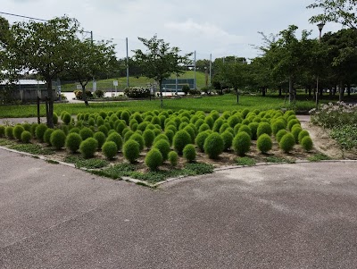 永犬丸の森公園