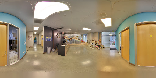 Gym «Tempest Freerunning Academy», reviews and photos, 3337 Jack Northrop Ave, Hawthorne, CA 90250, USA