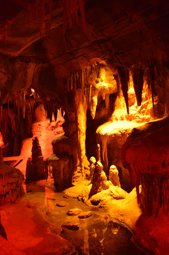 Foundation «The Henry Doorly Zoo», reviews and photos, 3701 S 10th St, Omaha, NE 68107, USA