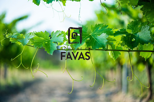 Domaine de Favas à Saint-Bauzille-de-Montmel