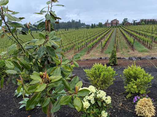 Winery «Alloro Vineyard», reviews and photos, 22075 SW Lebeau Rd, Sherwood, OR 97140, USA