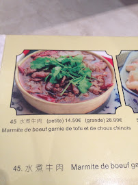 Cuisine chinoise du Restaurant chinois Le Lac de l'Ouest à Paris - n°12