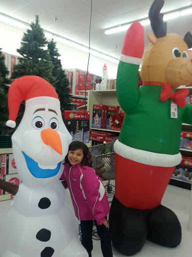 Discount Store «Big Lots», reviews and photos, 340 Summit Dr, Lockport, IL 60441, USA