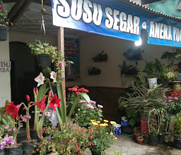 Kiose BU Mud Buah Dewi Sri photo