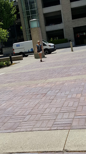 Federal Credit Union «First Tech Federal Credit Union», reviews and photos