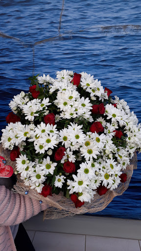 Ortaca Sarmaşık Çiçekçilik