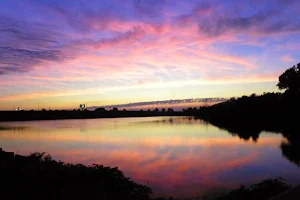 Tifft Nature Preserve image