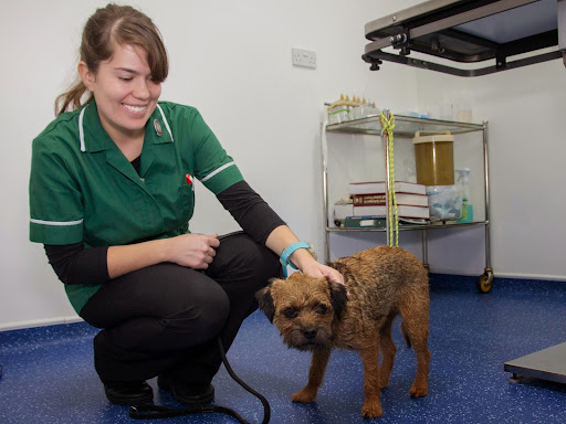 Spring Corner Veterinary Centre