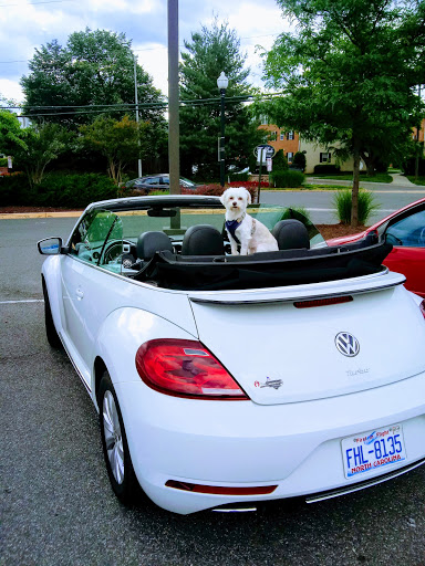 Liquor Store «Lucas Liquors», reviews and photos, 16258 Foothill Blvd, San Leandro, CA 94578, USA