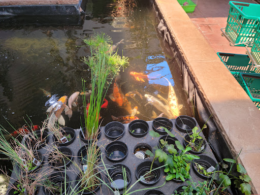 Pet Store «Pet Paradise Grooming», reviews and photos, 1115 Pueblo Blvd Way, Pueblo, CO 81005, USA