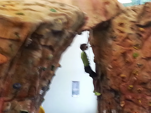 Sporting Goods Store «Half-Moon Outfitters», reviews and photos, 94 Folly Rd Blvd, Charleston, SC 29407, USA