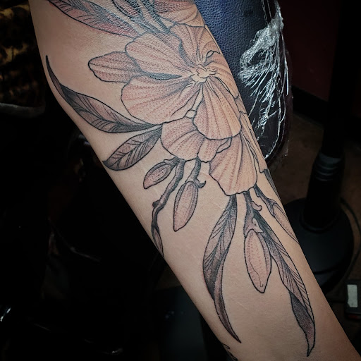 Explore lion tattoo ideas for females, creative tattoo ideas in Sioux Falls, available at Permanent Addictions