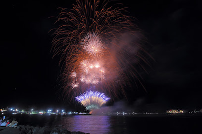 Pyro International LTD Firework Display Specialist