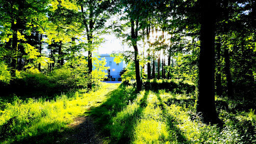 Wedding Venue «The Wadsworth Mansion at Long Hill», reviews and photos, 421 Wadsworth St, Middletown, CT 06457, USA