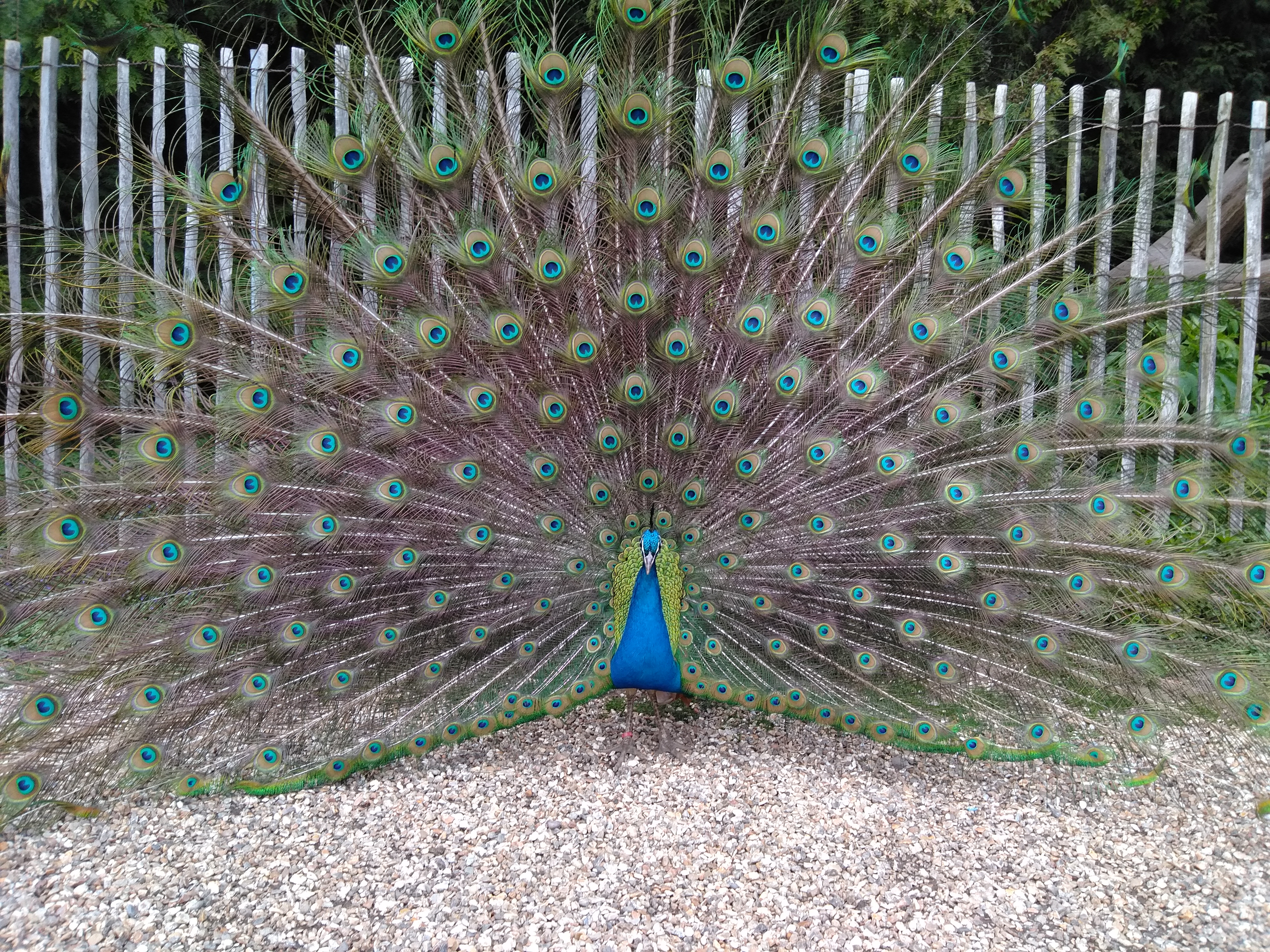 Photo n° 6 de l'avis de Francois.u fait le 08/05/2019 à 16:10