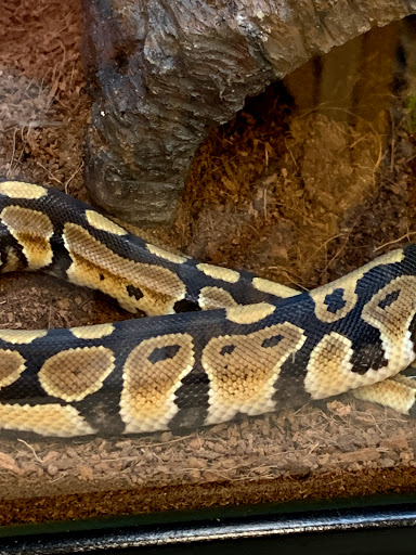 Pet Supply Store «Petco Animal Supplies», reviews and photos, 110 Percival Rd, Columbia, SC 29206, USA