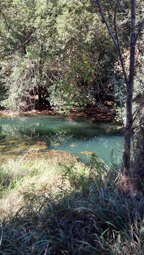 Park «Crestview Park», reviews and photos, 1600 Roland Dr, Mobile, AL 36693, USA