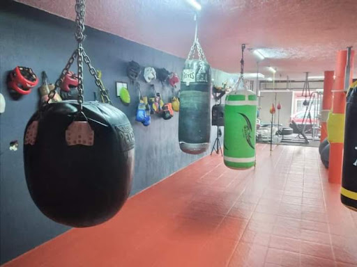 Gym Barragán boxing club