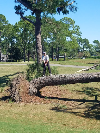 Golf Club «Myrtlewood Golf Club», reviews and photos, 1500 48th Avenue Ext N, Myrtle Beach, SC 29577, USA