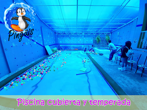 Pingüis, Natación y Estimulación Acuática