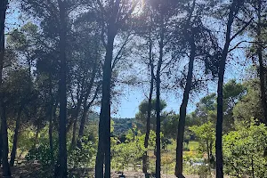 Zona Forestal Recreativa de Sant Antoni image