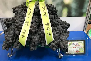 Yeongdong Grape Festival image