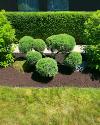 Michigan Made Landscaping - Photo 3 - Car repair in , Toledo
