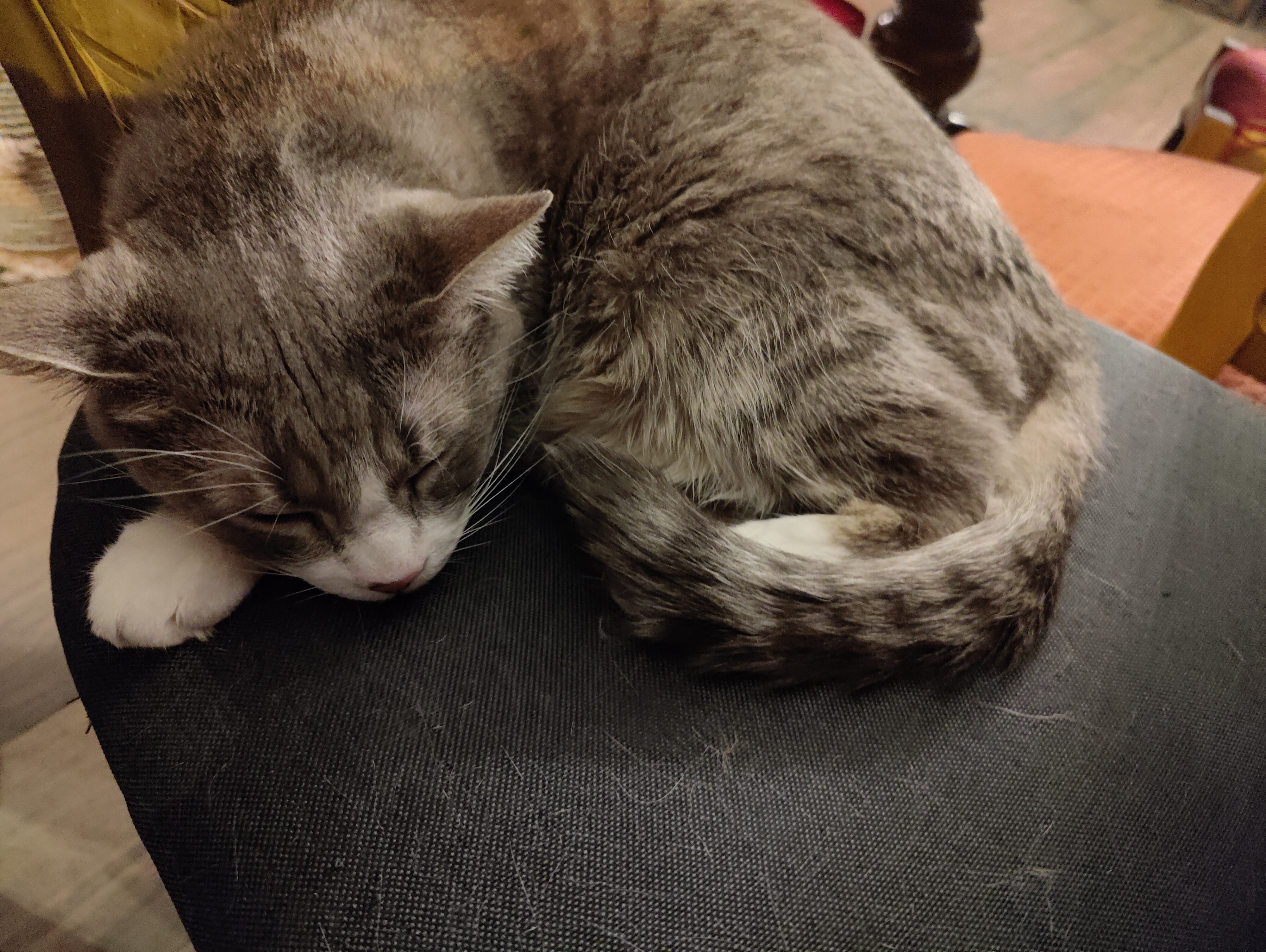 Photo n° 1 de l'avis de Roseline.U fait le 20/10/2022 à 19:08