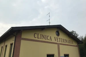 Veterinary Clinic Valcurone image