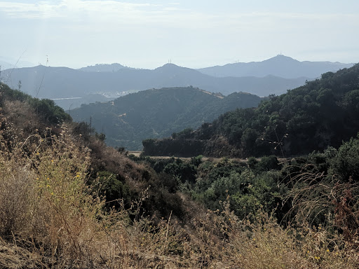 Verdugo Mountain - Beaudry Fire Road Loop
