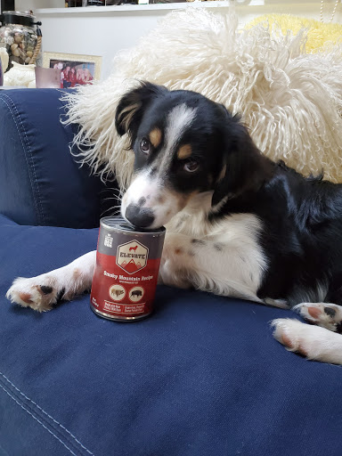 Pet Supply Store «Pet Barn Inc», reviews and photos, 167 Jennifer Rd # G, Annapolis, MD 21401, USA