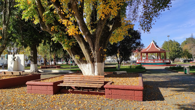 Plaza De Lautaro - Lautaro