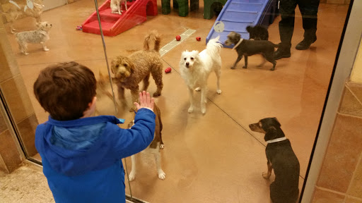 Pet Supply Store «PetSmart», reviews and photos, 310 N White Horse Pike, Lawnside, NJ 08045, USA