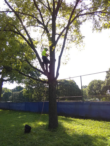 Park «Arsenal Park», reviews and photos, 1400 E 46th St, Indianapolis, IN 46205, USA