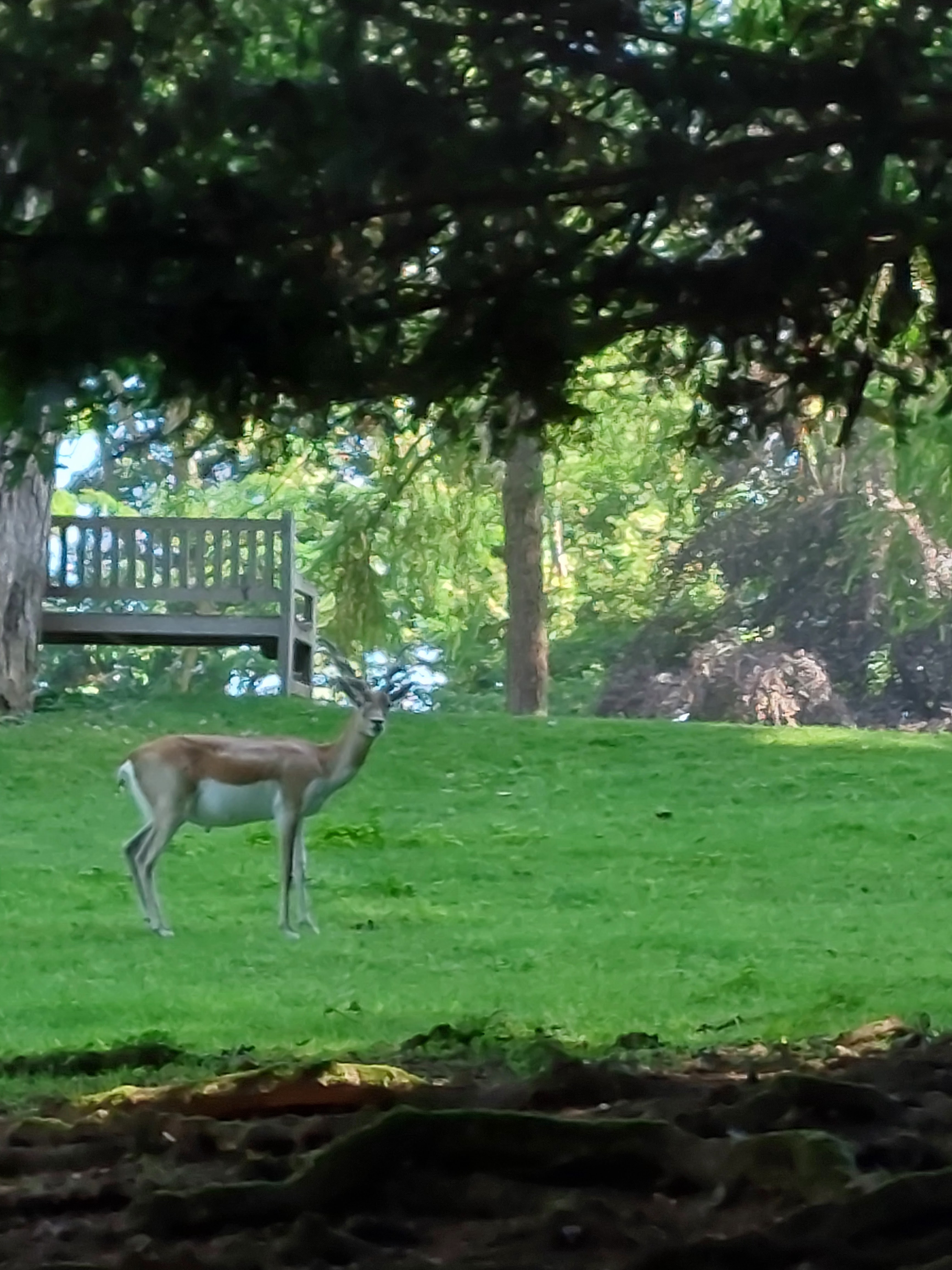 Photo n° 1 de l'avis de Bruno.a fait le 07/07/2023 à 14:52