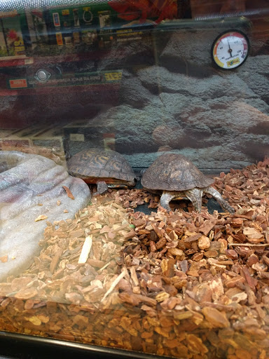 Pet Supply Store «Petco Animal Supplies», reviews and photos, 2350 Central Park Ave, Yonkers, NY 10710, USA