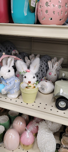 Home Goods Store «Christmas Tree Shops», reviews and photos, 1505 S Washington St, North Attleborough, MA 02760, USA