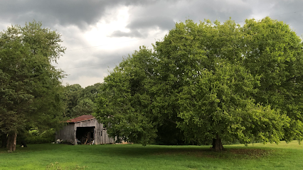 Mark Tuttle Tree Services