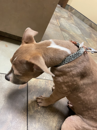 205 N Highland Lake Rd, Flat Rock, NC 28731, USA